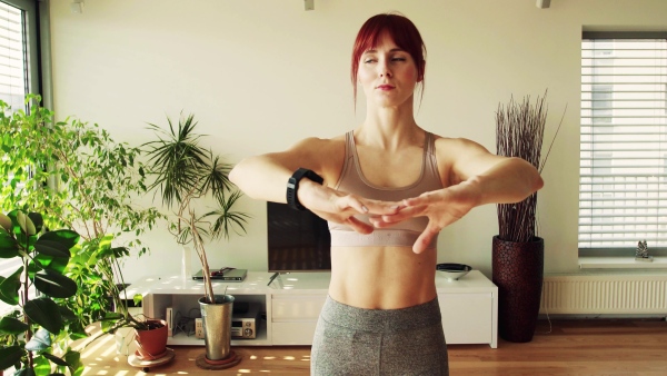 Beautiful young fitness woman doing exercise at home.