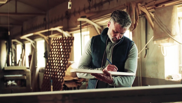 Portrait of a man worker in the carpentry workshop, holding a piece of wood.