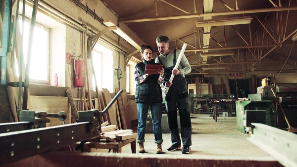 Portrait of a man and woman workers in the carpentry workshop, looking at tablet.