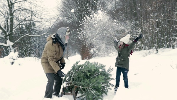 Grandfather and a small girl getting a Christmas tree in forest. Winter day. Slow motion.