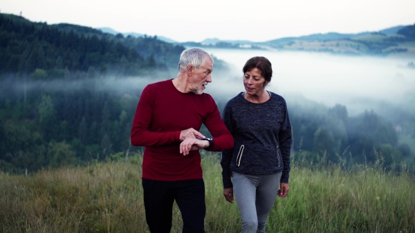 Senior happy couple runners walking on grassland outdoor in foggy morning in nature, using smartwatch.