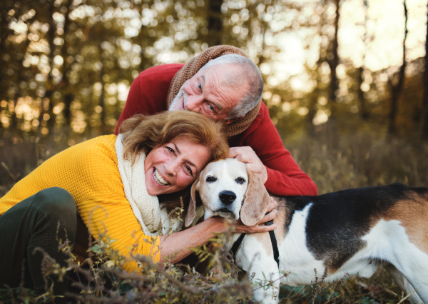 A happy senior couple with a dog on a walk in an autumn nature at sunset.