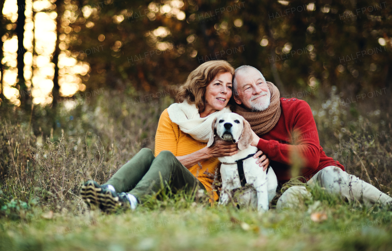 A happy senior couple with a dog on a walk in an autumn nature at sunset.