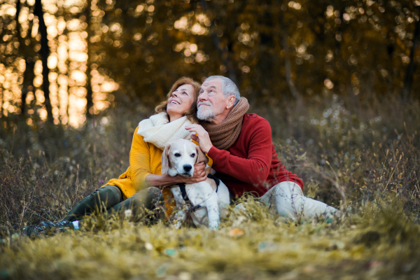 A happy senior couple with a dog on a walk in an autumn nature at sunset.