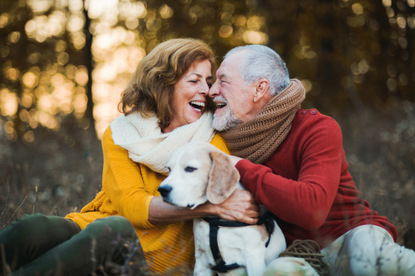 A happy senior couple with a dog on a walk in an autumn nature at sunset.