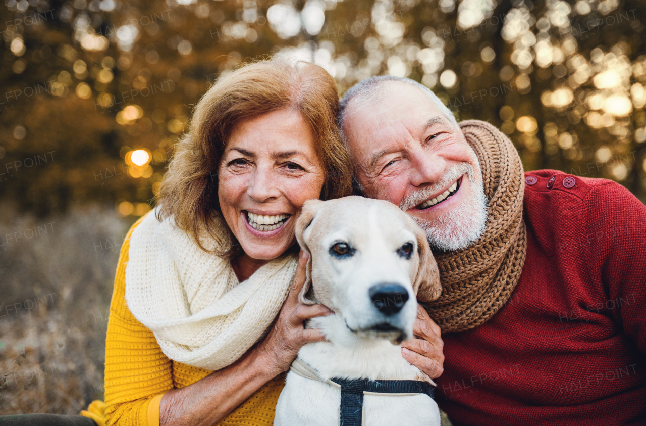 A happy senior couple with a dog on a walk in an autumn nature at sunset.