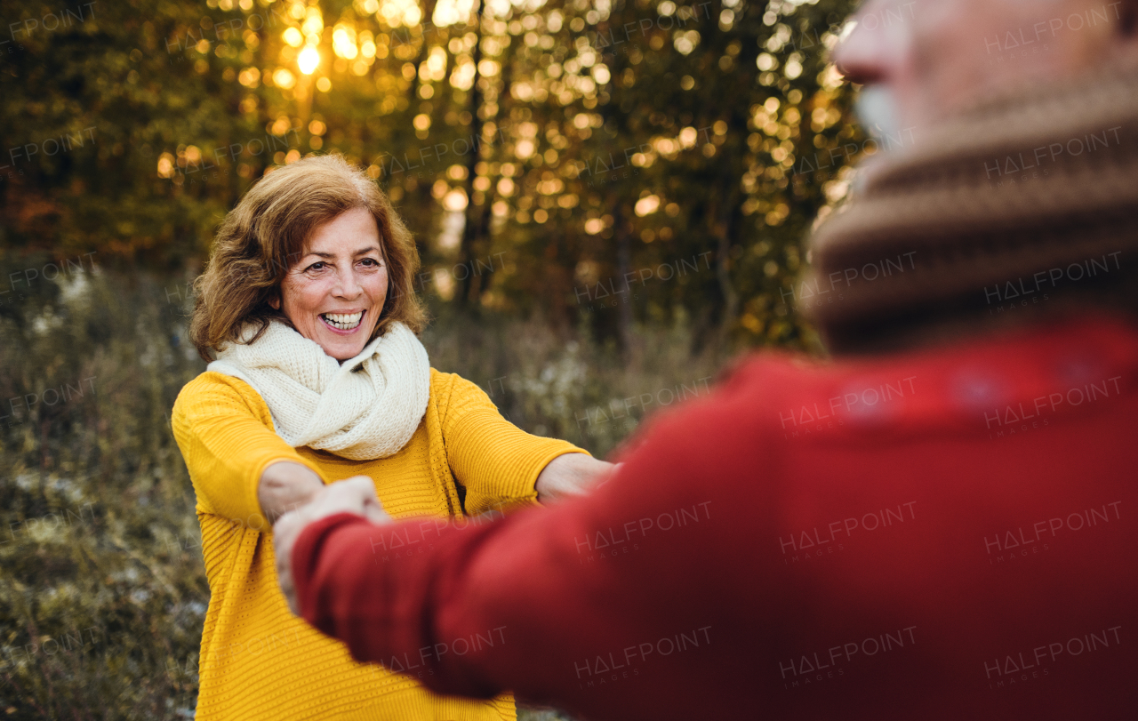 A cheerful senior couple in love standing in an autumn nature at sunset, holding hands and looking at each other.