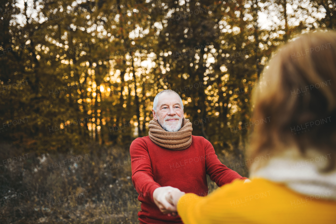 A cheerful senior couple on a walk in an autumn nature at sunset, holding hands.