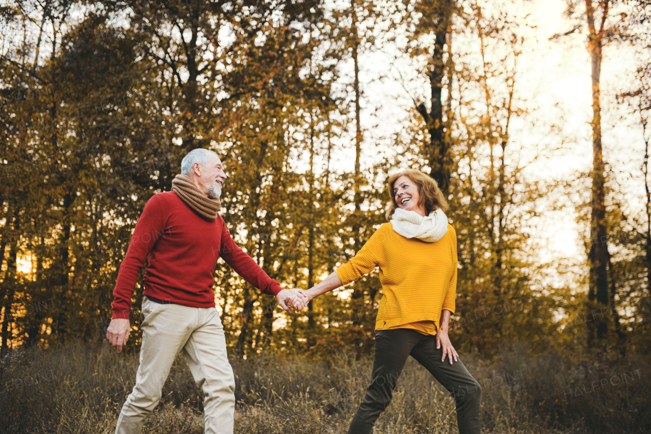 A cheerful senior couple on a walk in an autumn nature at sunset, holding hands.