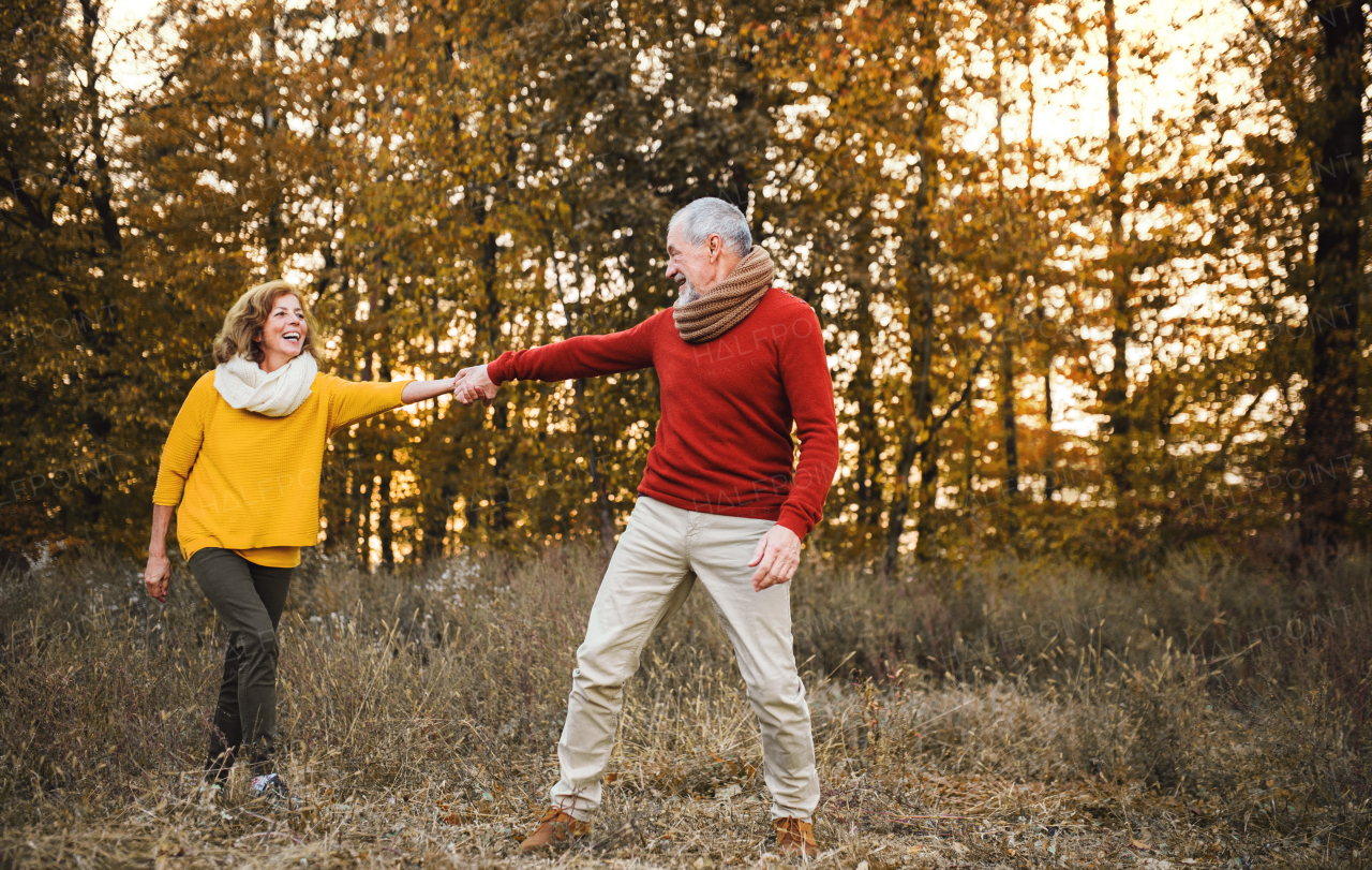 A cheerful senior couple on a walk in an autumn nature at sunset, holding hands.