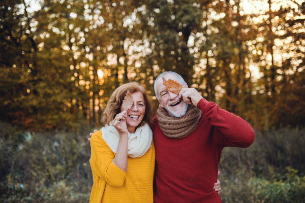 A cheerful senior couple standing in an autumn nature at sunset, covering eyes with leaves.