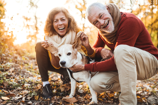 A happy senior couple with a dog on a walk in an autumn nature at sunset, having fun.