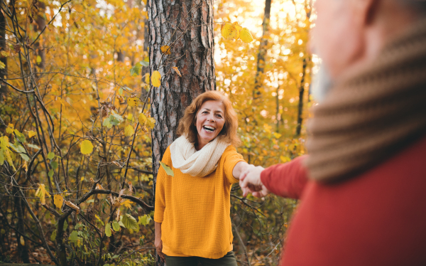 A cheerful senior couple on a walk in an autumn nature at sunset, holding hands.