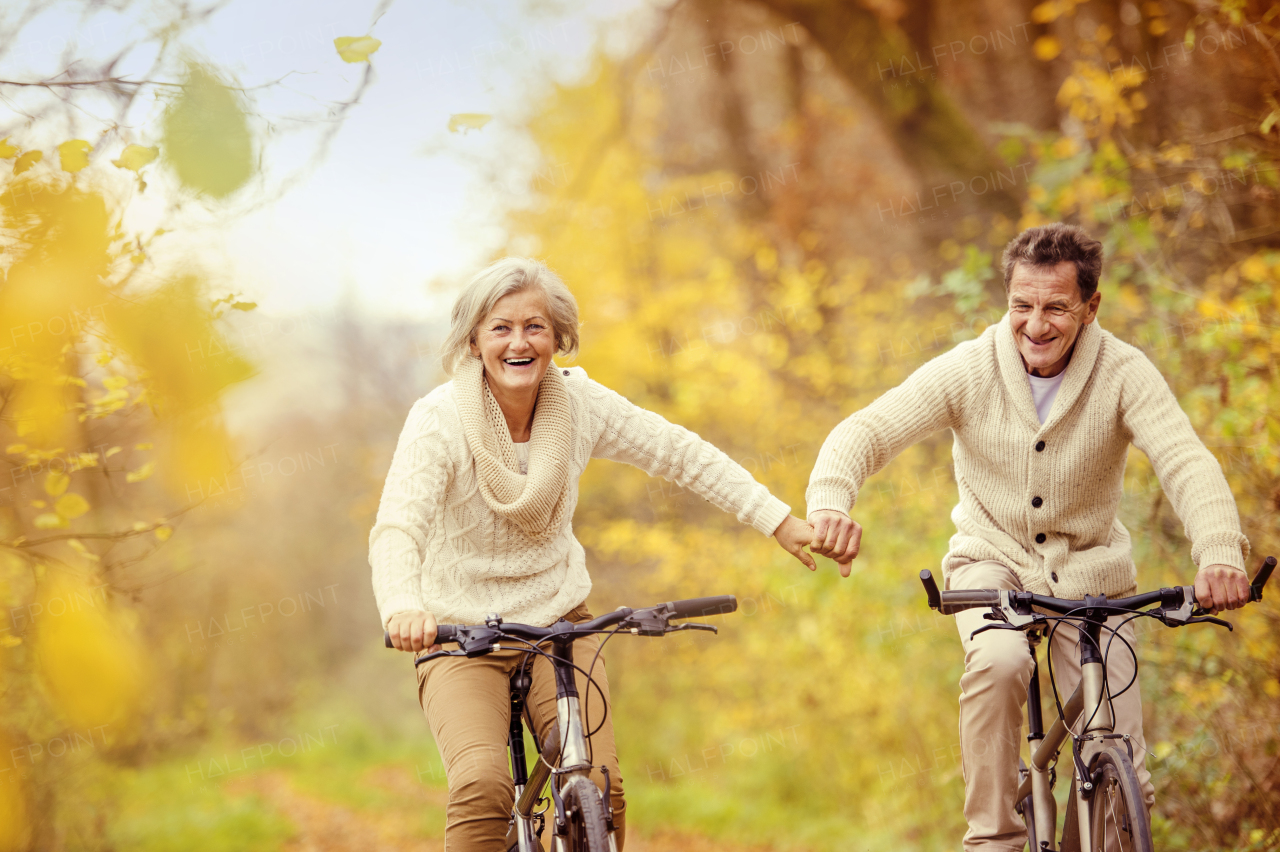 Senior couple in autumn nature.