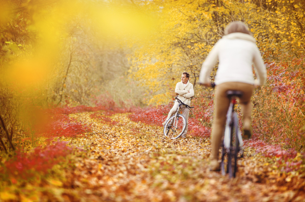 Senior couple in autumn nature.