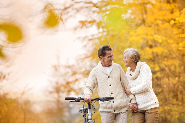 Senior couple in autumn nature.