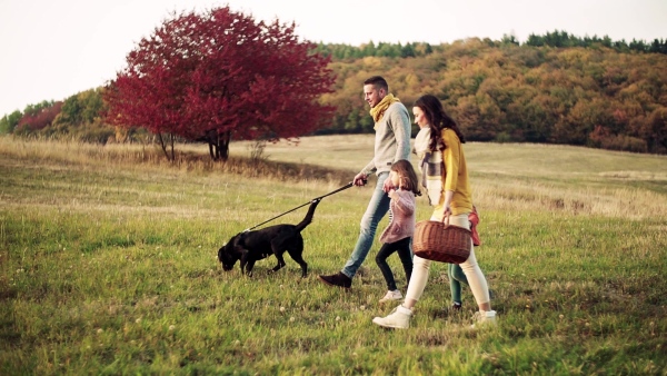 A young family with two small children and a black dog on a walk in autumn nature. Slow motion.