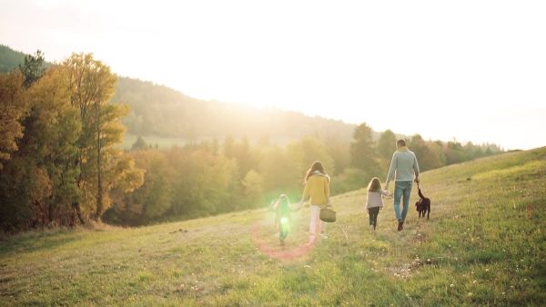 A rear view of young family with two small children and a black dog on a walk in autumn nature. Slow motion.