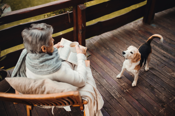 A top view of an elderly woman with a book, dog and cup of coffee sitting outdoors on a terrace on a sunny day in autumn, reading.