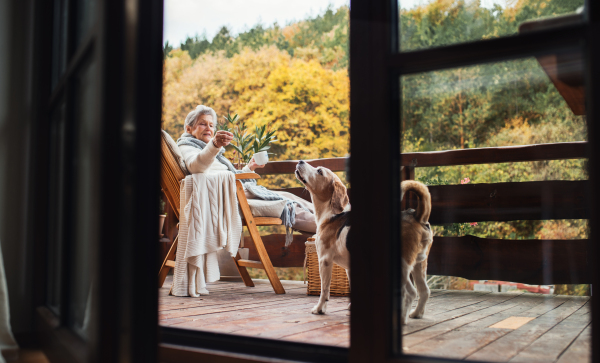 An elderly woman with a cup of tea or coffee sitting outdoors on a terrace on a sunny day in autumn, playing with a dog.