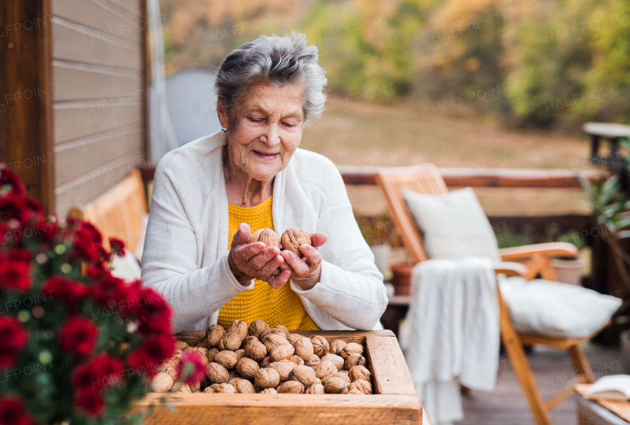 An elderly senior woman outdoors on a terrace in on a sunny day in autumn, holding walnuts.