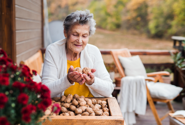 An elderly senior woman outdoors on a terrace in on a sunny day in autumn, holding walnuts.