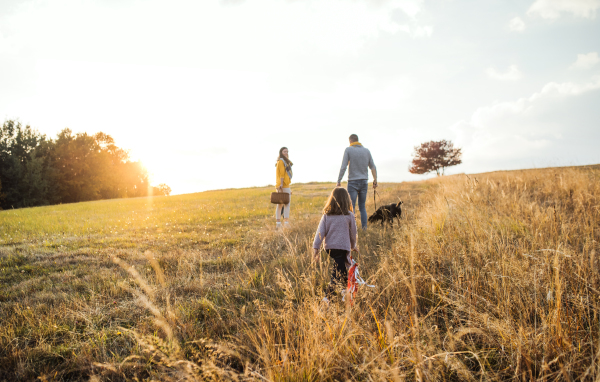 A rear view of family with child and a dog on a walk in autumn nature at sunset. Copy space.