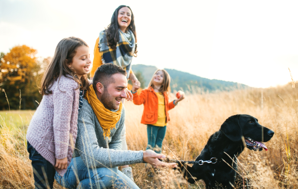 A young family with two small children and a black dog on a walk in autumn nature.