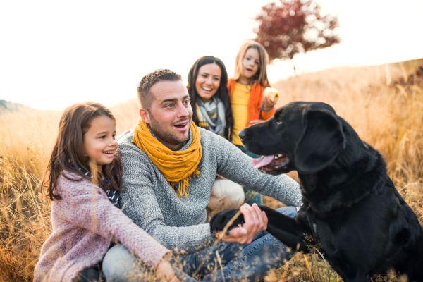 A young family with two small children and a black dog on a meadow in autumn nature.