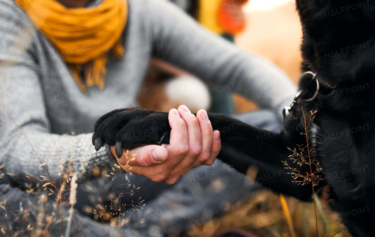 A midsection view of an unrecognizable man sitting on the ground, holding dog's paw in nature.