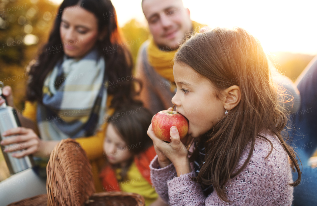 A portrait of happy young family with two small children sitting on a ground in autumn nature at sunset, having picnic.