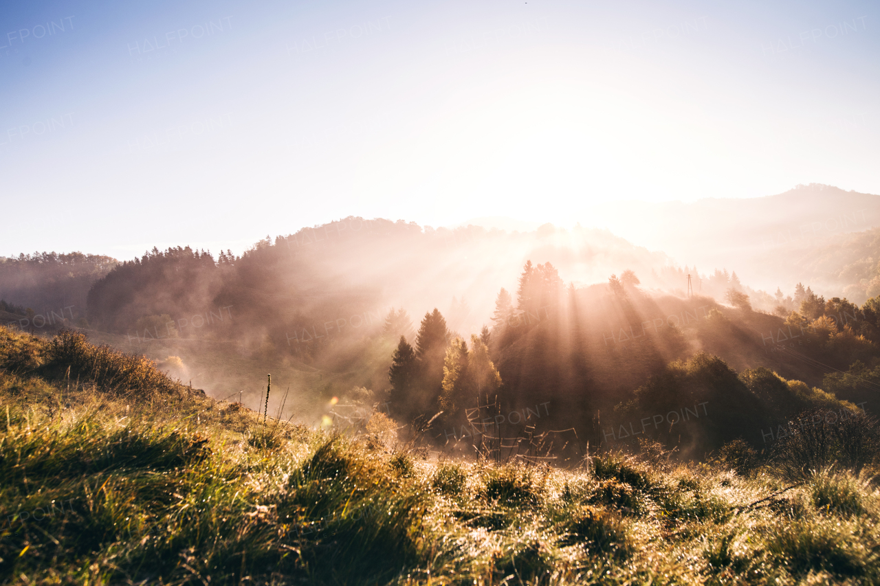 Sunrise in a beautiful autumn nature. Grassland in the morning.