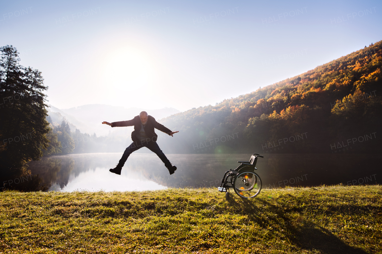 Senior man jumping by the wheelchair in an autumn nature.