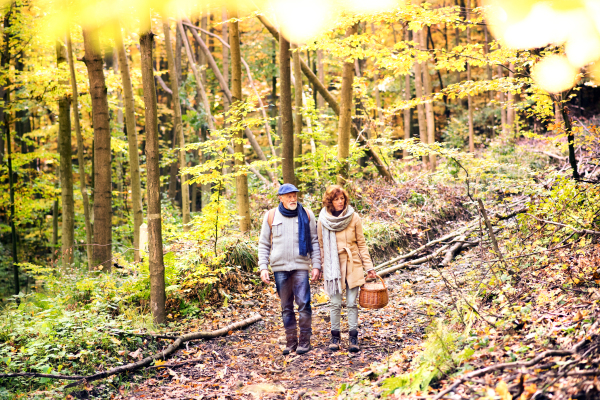 Active senior couple on a walk in a beautiful autumn nature.