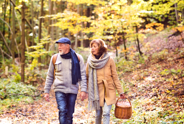 Active senior couple on a walk in a beautiful autumn nature.