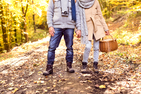 Unrecognizable active senior couple on a walk in a beautiful autumn nature.