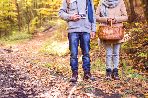 Unrecognizable active senior couple on a walk in a beautiful autumn nature.