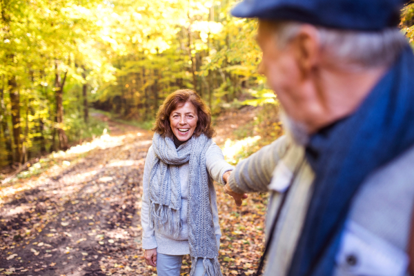 Active senior couple on a walk in a beautiful autumn nature.