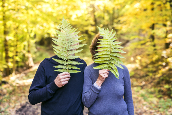 Active senior couple on a walk in a beautiful autumn nature, covering their faces with fern.