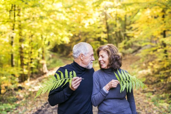 Active senior couple on a walk in a beautiful autumn nature, having fun.