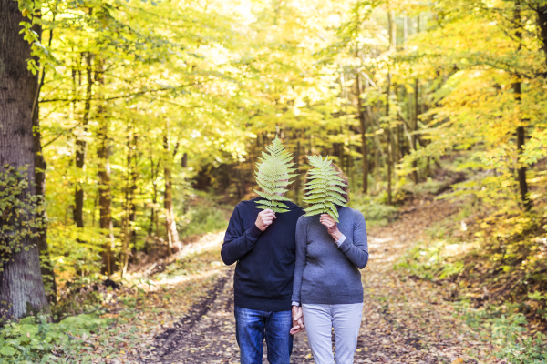 Active senior couple on a walk in a beautiful autumn nature, having fun.