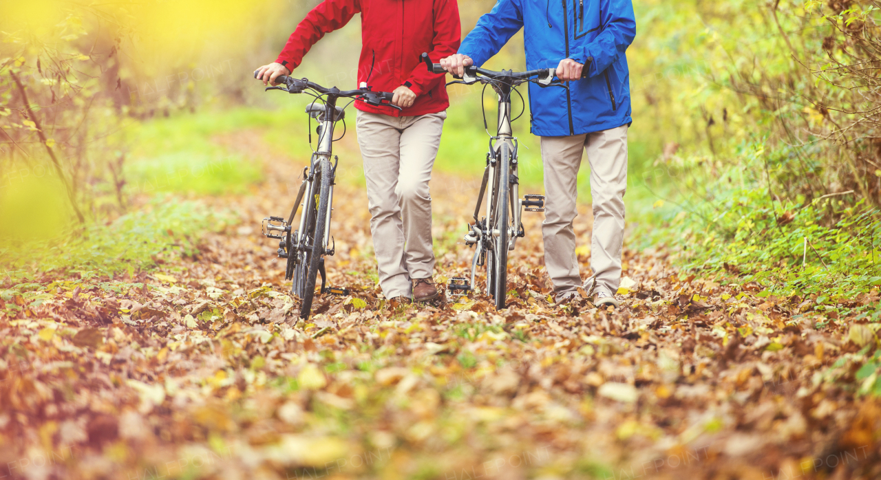 Beautiful couple of seniors in the autumn nature.