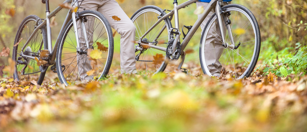 Beautiful couple of seniors in the autumn nature.