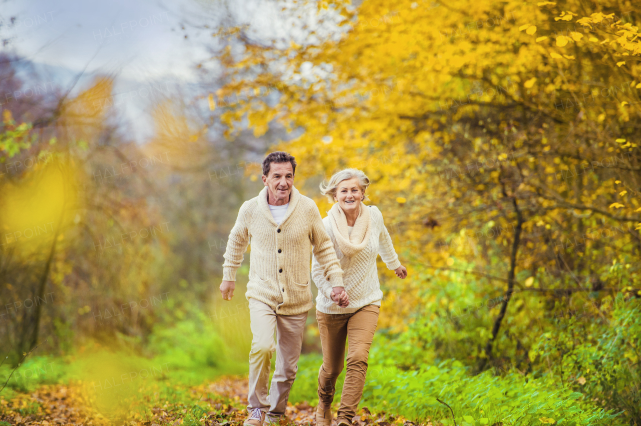 Beautiful couple of seniors in the autumn nature.