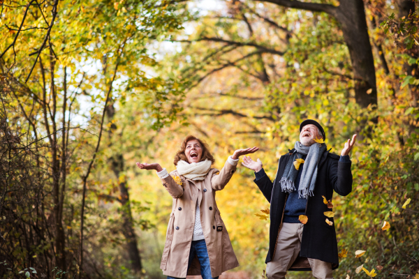 Senior couple on a walk in a forest in an autumn nature, throwing yellow leaves.