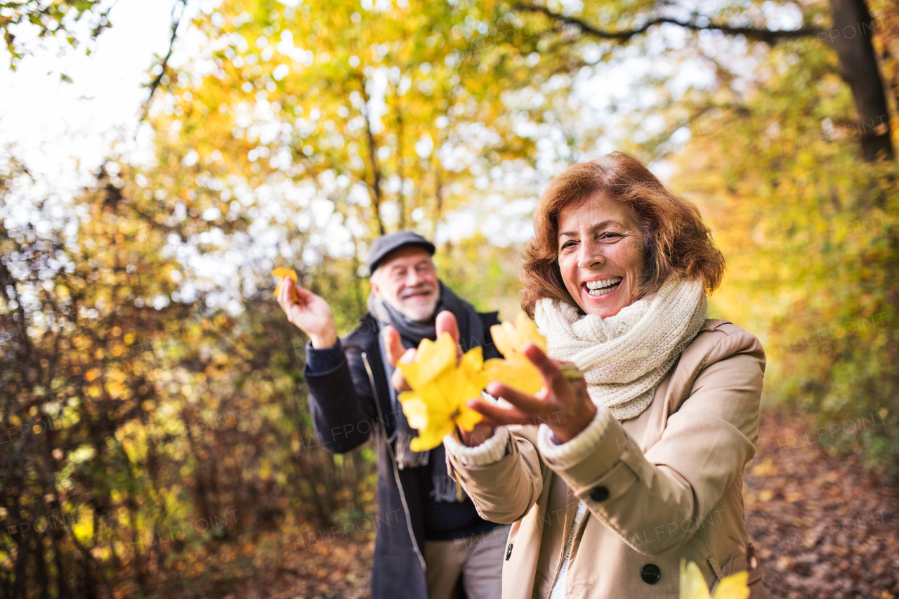 Senior couple on a walk in a forest in an autumn nature, holding yellow leaves.