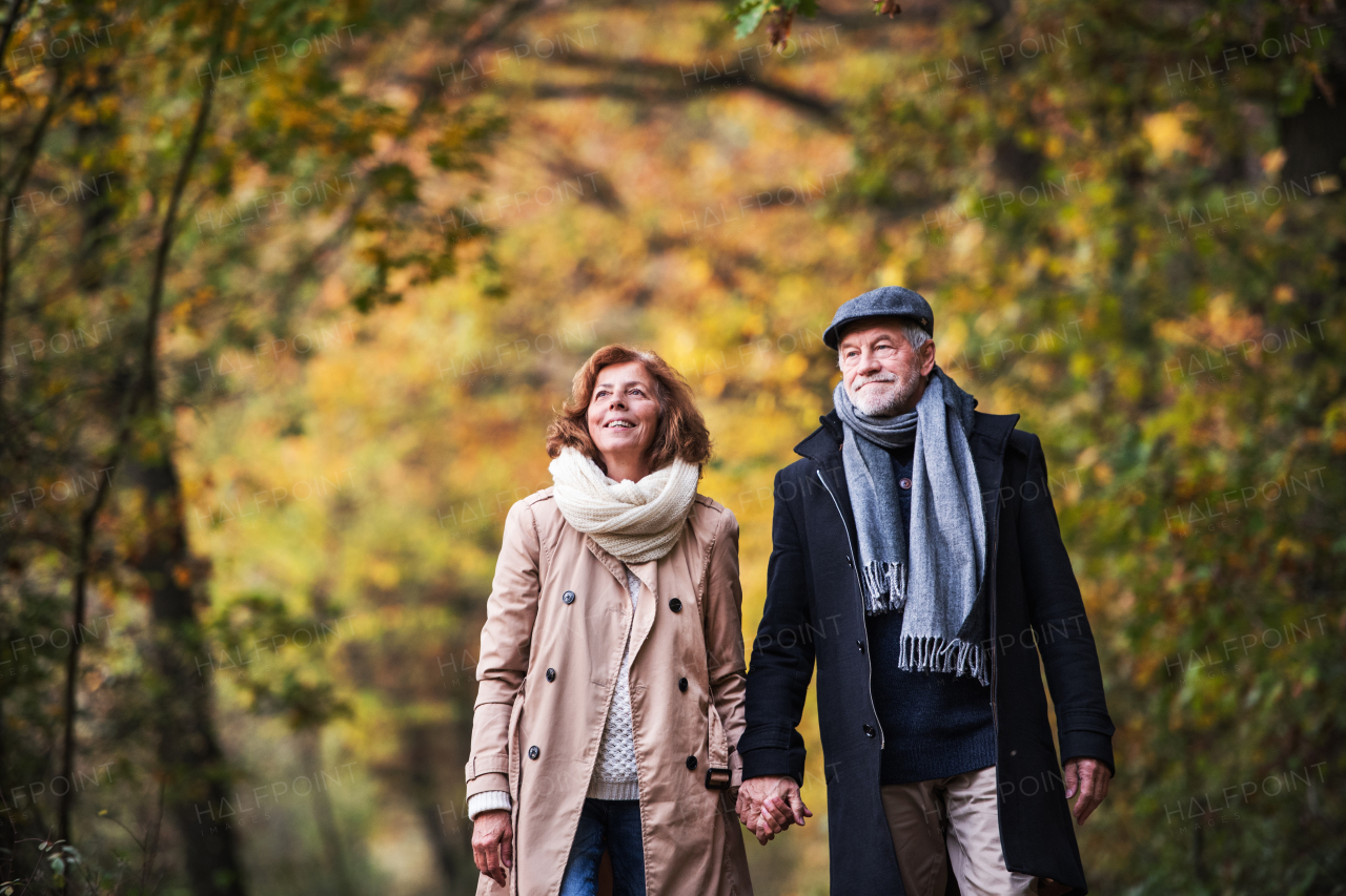 An active senior couple walking in a forest in an autumn nature, holding hands.