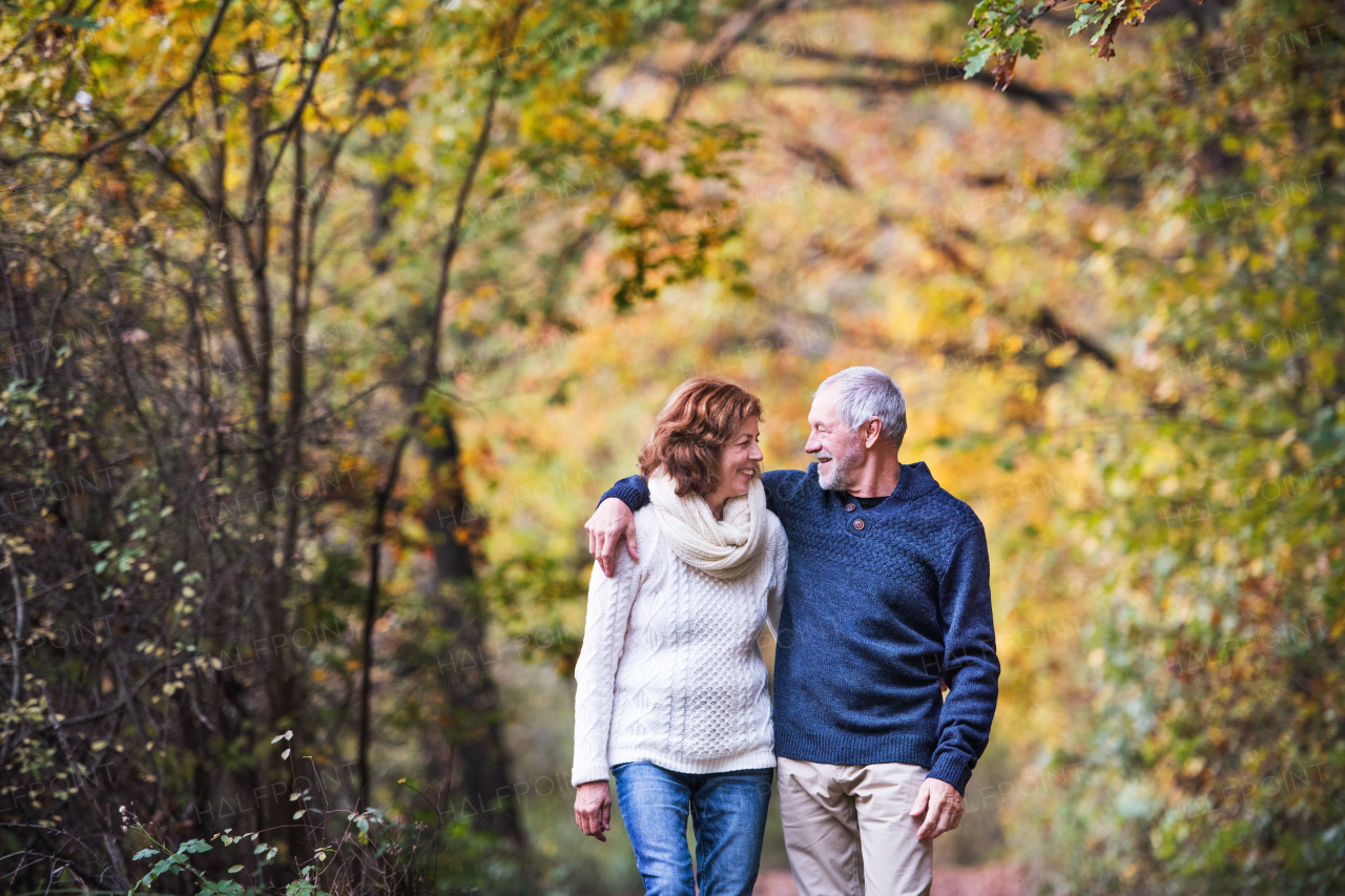 A portrait of an active senior couple walking in an autumn nature. Copy space.