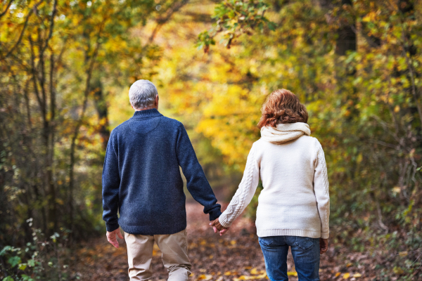 A rear view of an active senior couple walking in an autumn nature, holding hands.