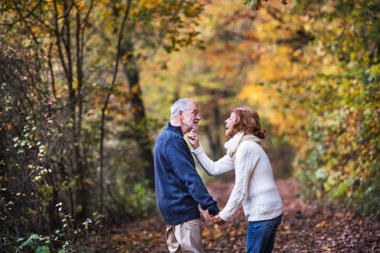 Senior couple looking at each other in an autumn nature, holding hands and having fun.